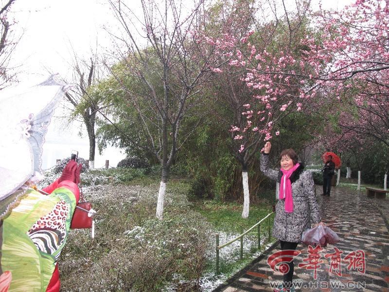 充分发挥主动管理优势，华商基金首只浮动费率产品正式发售